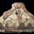 Base di louterion (?) con figure di delfini, inv. provv. C MANG 2017/2. Depositi della Necropoli della Banditaccia di Cerveteri. VI sec. a.C.