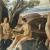 Felice Carena, Serenità, 1925, olio su tela