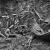 4. Brasile, 2009 - © Sebastião Salgado/Amazonas Images
