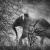 6. Kafue National Park, Zambia, 2010 - © Sebastião Salgado/Amazonas Images