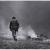 Soldato americano in perlustrazione nei dintorni di Troina, 4-5 agosto 1943/American soldier on reconnaissance mission near Troina, 4-5 August 1943